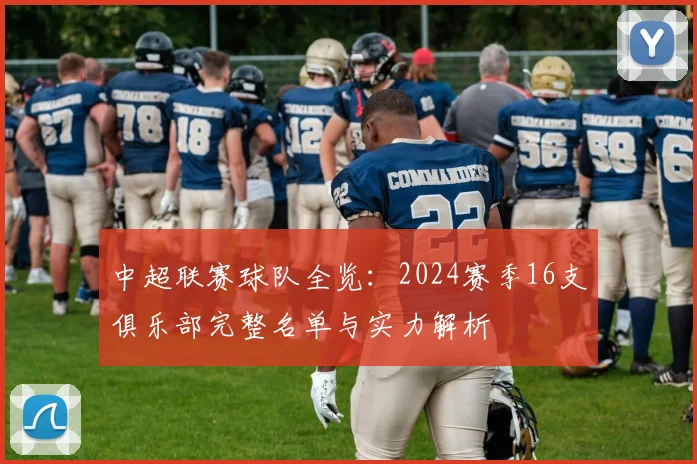 中超联赛球队全览:2024赛季16支俱乐部完整名单与实力解析